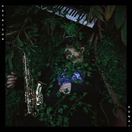 Petricor - 2019 • Álbum
