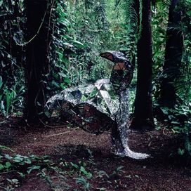 Donkey - 2008 • Álbum