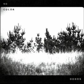 No Color - 2011 • Álbum
