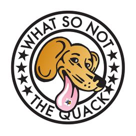 The Quack - 2013 • Álbum