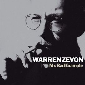 Mr. Bad Example - 1991 • Álbum