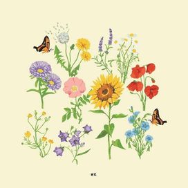 we - 2019 • Álbum