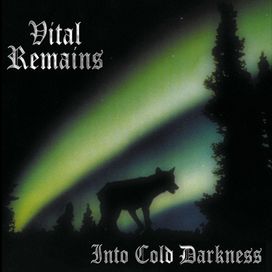 Into Cold Darkness - 1995 • Álbum