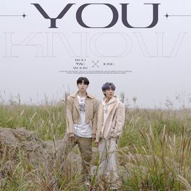 You know (알아줘) - TaeWoon