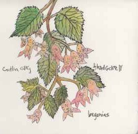 Begonias - 2005 • Álbum