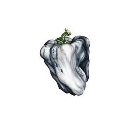 White Pepper - 2000 • Álbum