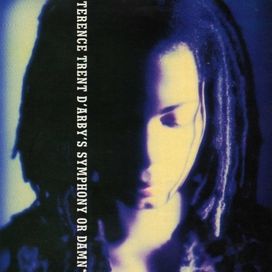 Symphony Or Damn - 1993 • Álbum