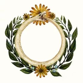Snake Hoop - 2023 • Single/EP