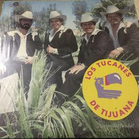 No Los Confunda! - 1991 • Álbum
