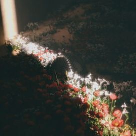 Homecoming (Español) - 2021 • Álbum