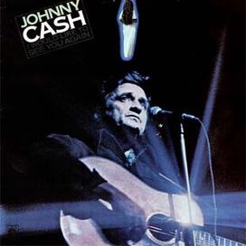 I Would Like To See You Again - 1978 • Álbum