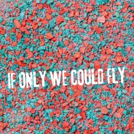 If Only We Could Fly - 2024 • Sencillo/EP