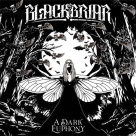A Dark Euphony - 2023 • Álbum