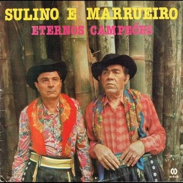 Sulino E Marrueiro: músicas com letras e álbuns