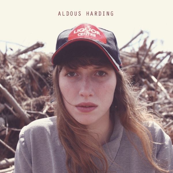 Portada de la canción "Beast", de Aldous Harding
