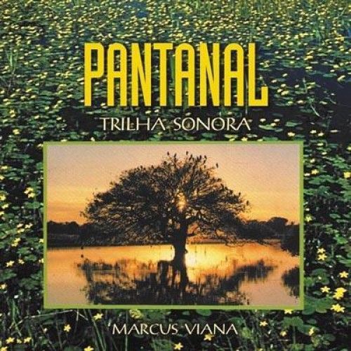 Portada de la canción "Pantanal", de Marcus Viana