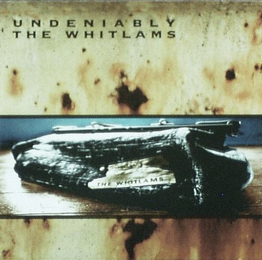 Cover art for "1995" by The Whitlams