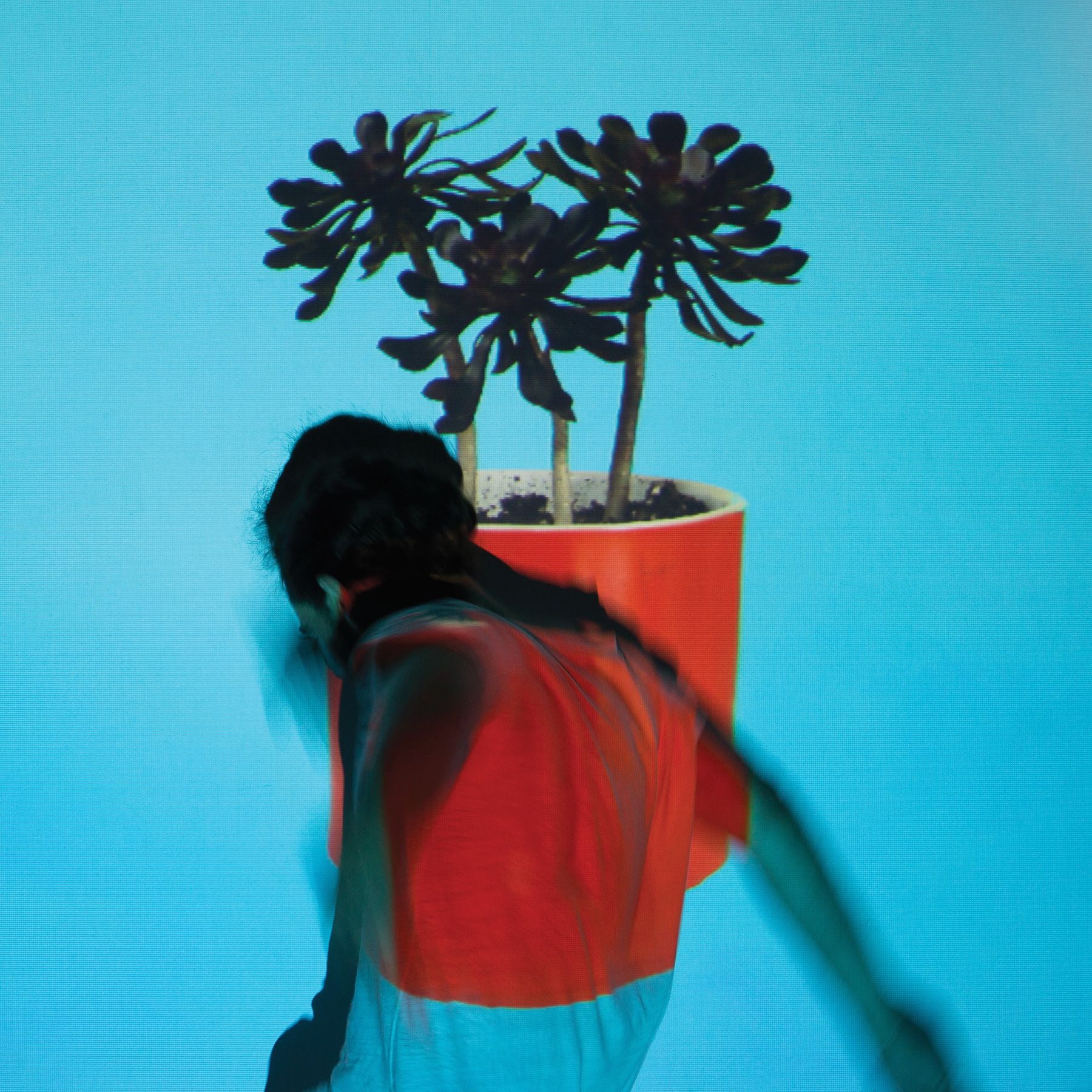 Portada de la canción "Past Lives", de Local Natives