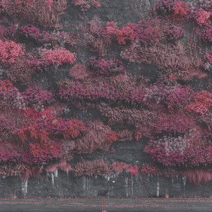 Portada de la canción "Damocles", de Sleep Token