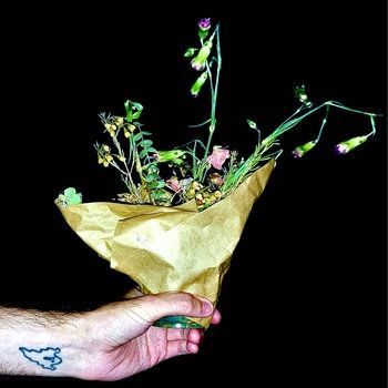 Portada de la canción "3 Wishes", de Affectionately