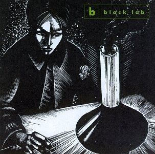 Cover art for "Gates Of The Country" by Black Lab