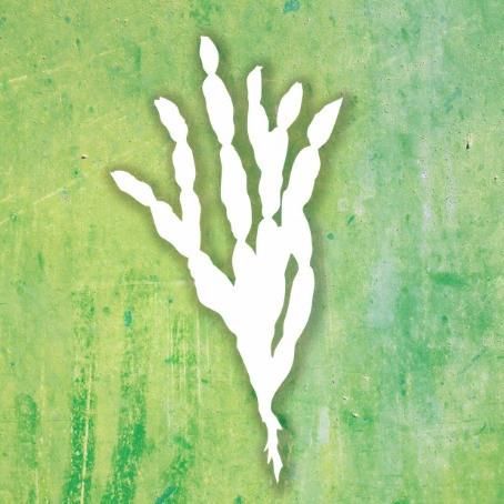 Foto de Grupo Carqueja