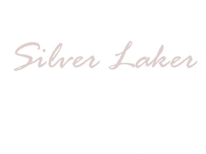 Photo of silver laker
