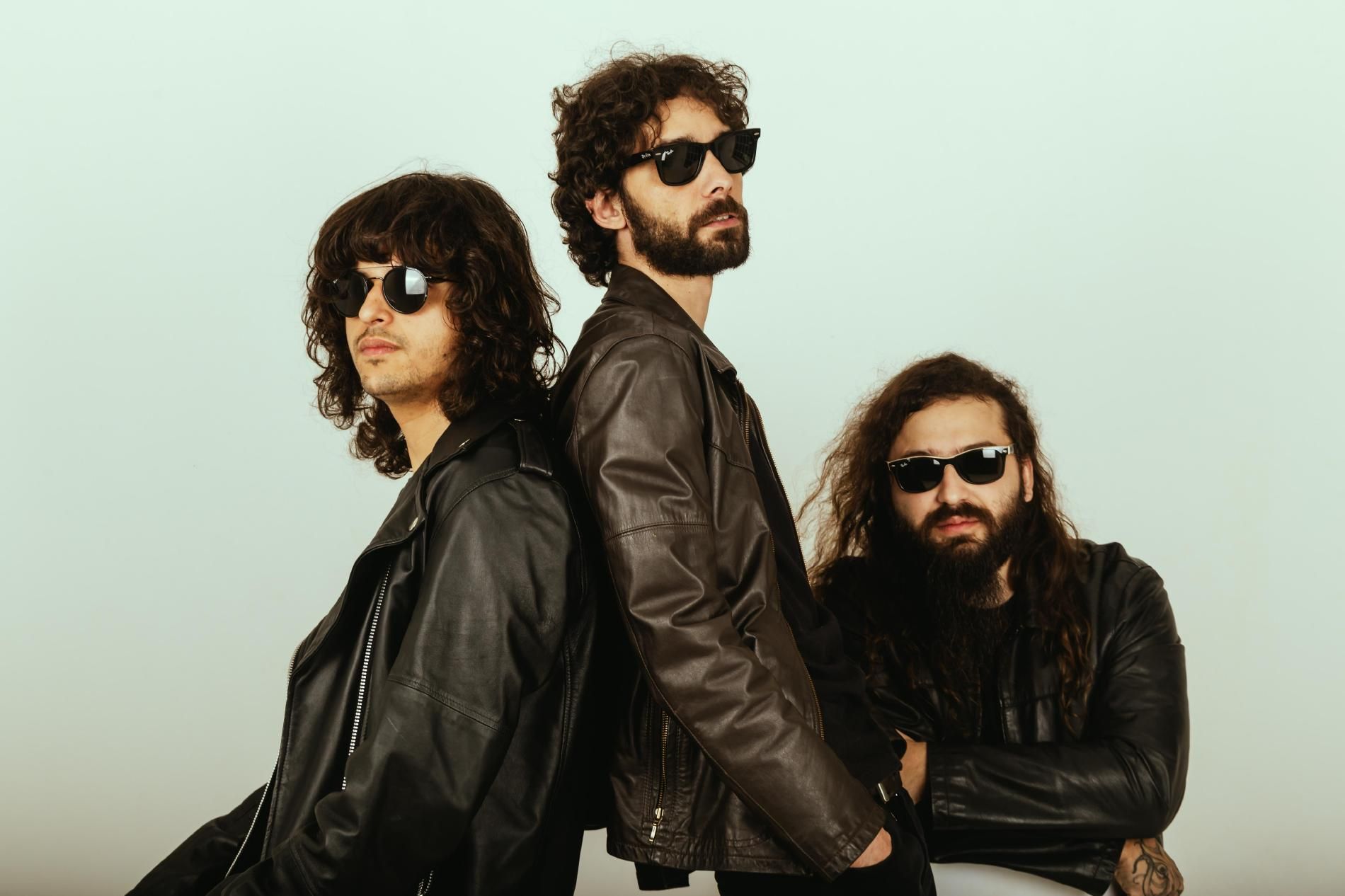 Photo of Flying Widows