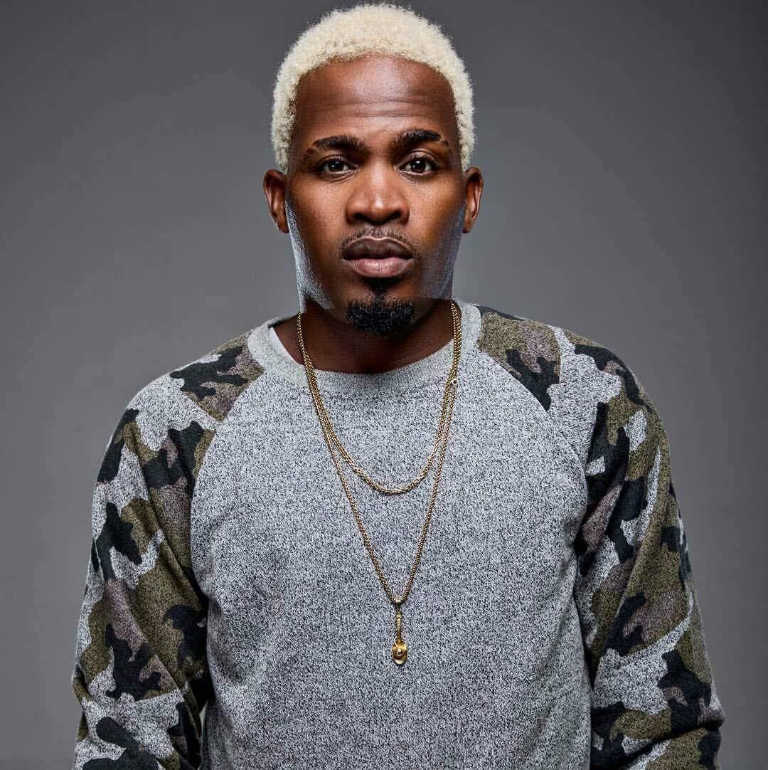 Foto de Godzila do Game