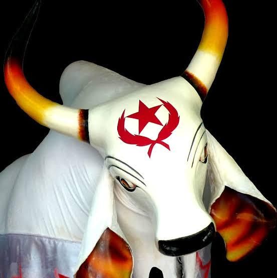 Foto de Boi Tira Prosa