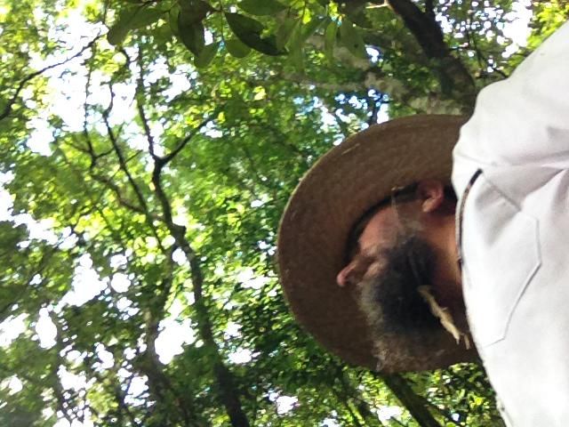 Foto de Jacu Eletrônico