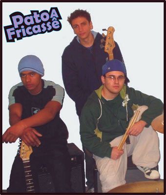 Foto de Pato a Fricassê