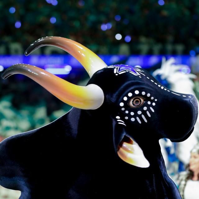 Foto de Boi Caprichoso