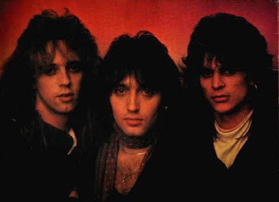 Foto de Divlje Jagode