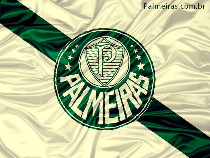 Foto de Palmeiras