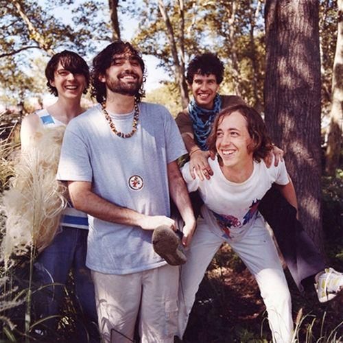 Foto de Animal Collective