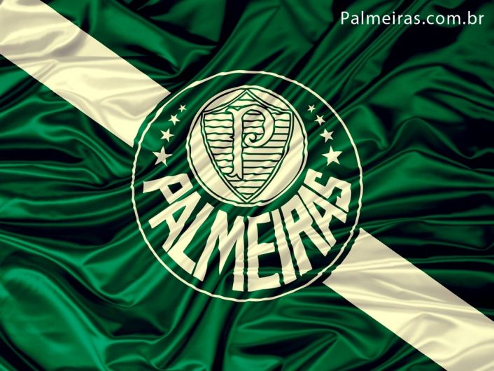 Foto de Palmeiras