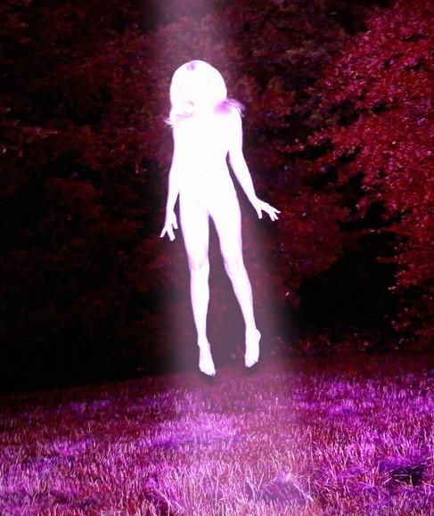 Foto de Sidewalks And Skeletons