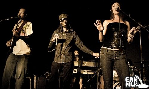 Foto de Easy Star All Stars