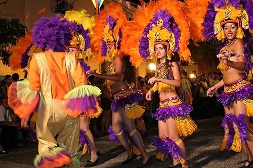 Foto de Boi Pirilampo do Maranhão