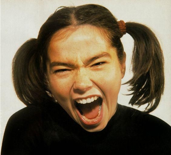 Foto de Björk