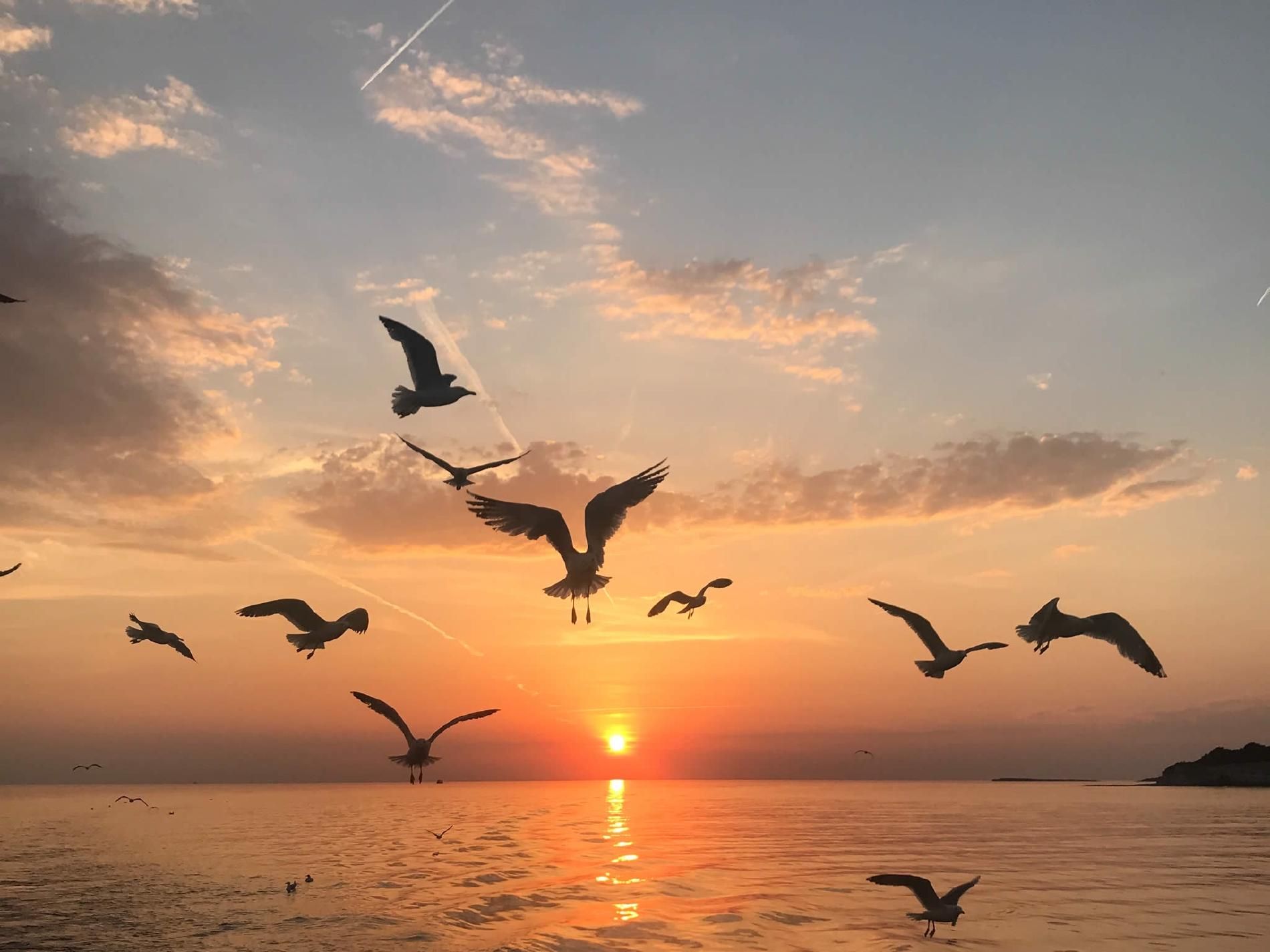 Foto de Outro Saculejo