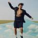 Foto del artista Harry Styles