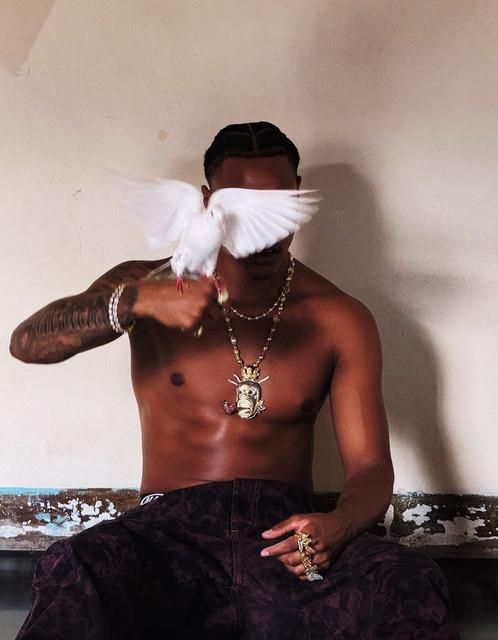 Foto de Tz da Coronel