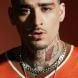 Foto do artista ZAYN