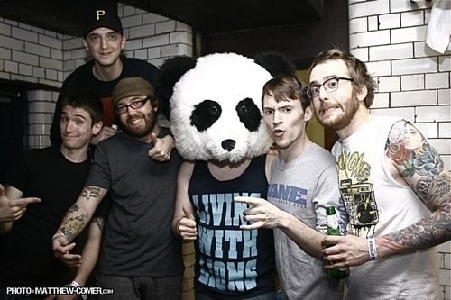 Foto de Polar Bear Club