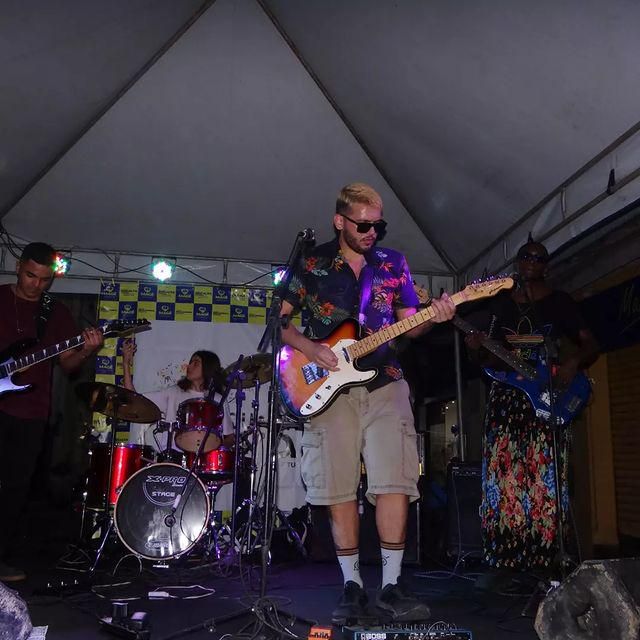 Foto de Samambaia Ornamental