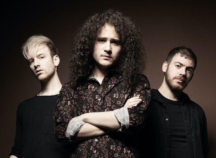 Photo of King Falcon