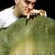 Foto do artista The Smiths