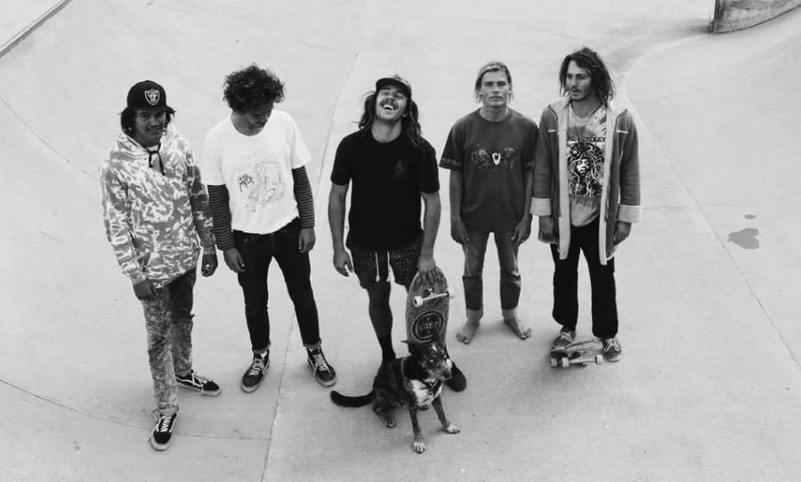 Foto de Vanilla Gorilla